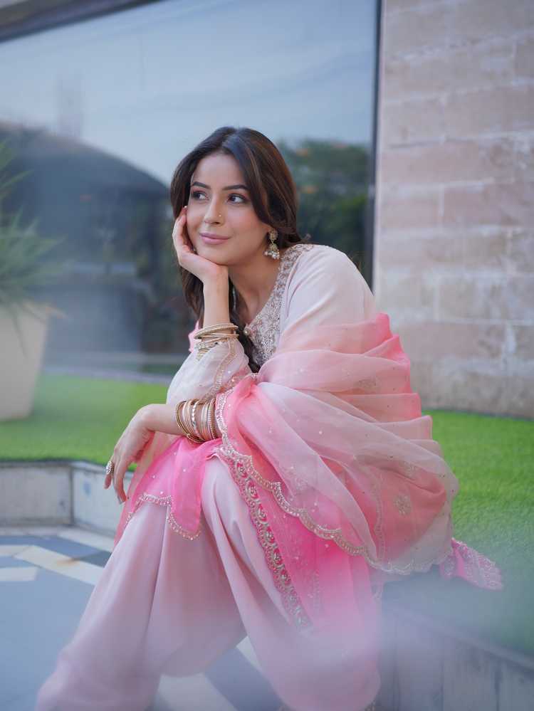 shehnaaz-gill